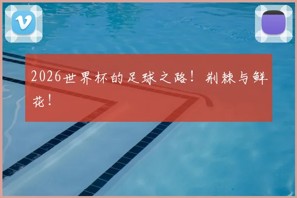 2026世界杯的足球之路!荆棘与鲜花!