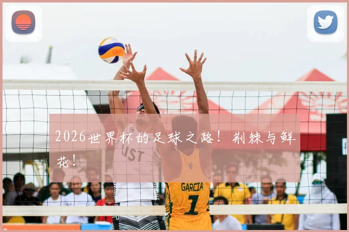 2026世界杯的足球之路!荆棘与鲜花!