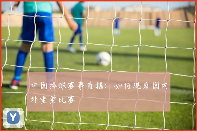 中国排球赛事直播:如何观看国内外重要比赛