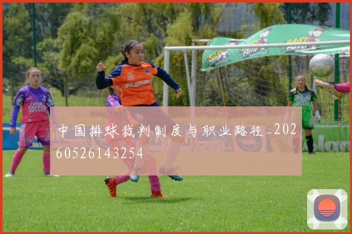 中国排球裁判制度与职业路径_20260526143254