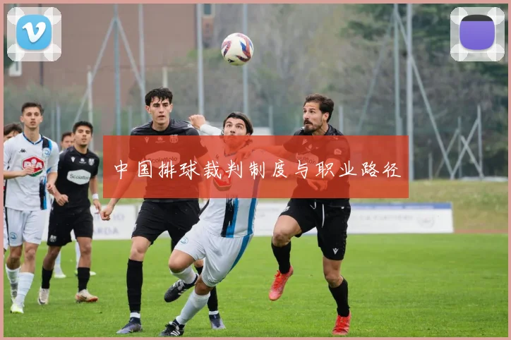 中国排球裁判制度与职业路径