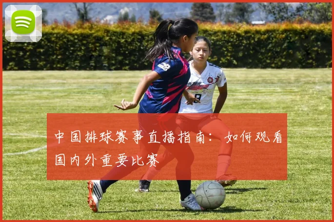 中国排球赛事直播指南:如何观看国内外重要比赛